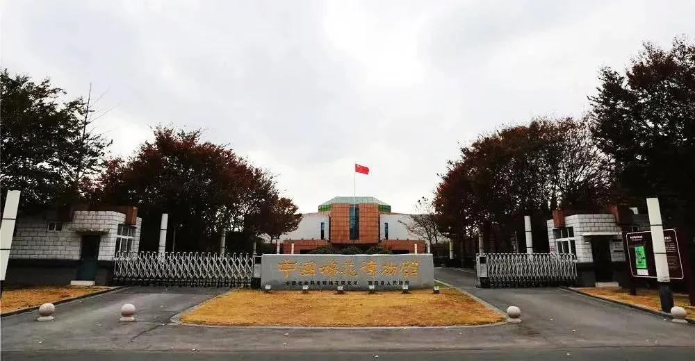 巖星特刊 | 在熱點之后，我們來看看這一座博物館插圖(1)