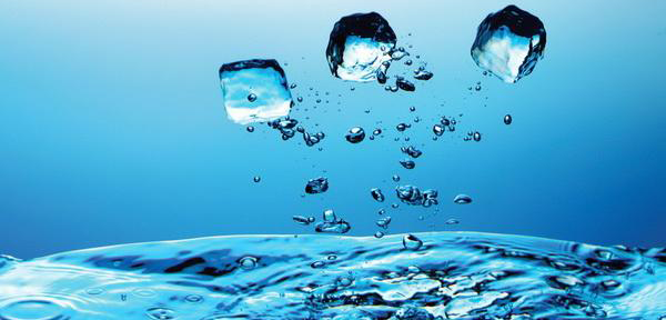 巖星之聲 | 深圳市數字創意與多媒體行業協會秘書長許詩喬一行來訪深圳巖星插圖