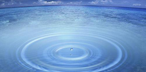 巖星之聲 | 深圳市數字創意與多媒體行業協會秘書長許詩喬一行來訪深圳巖星插圖(1)