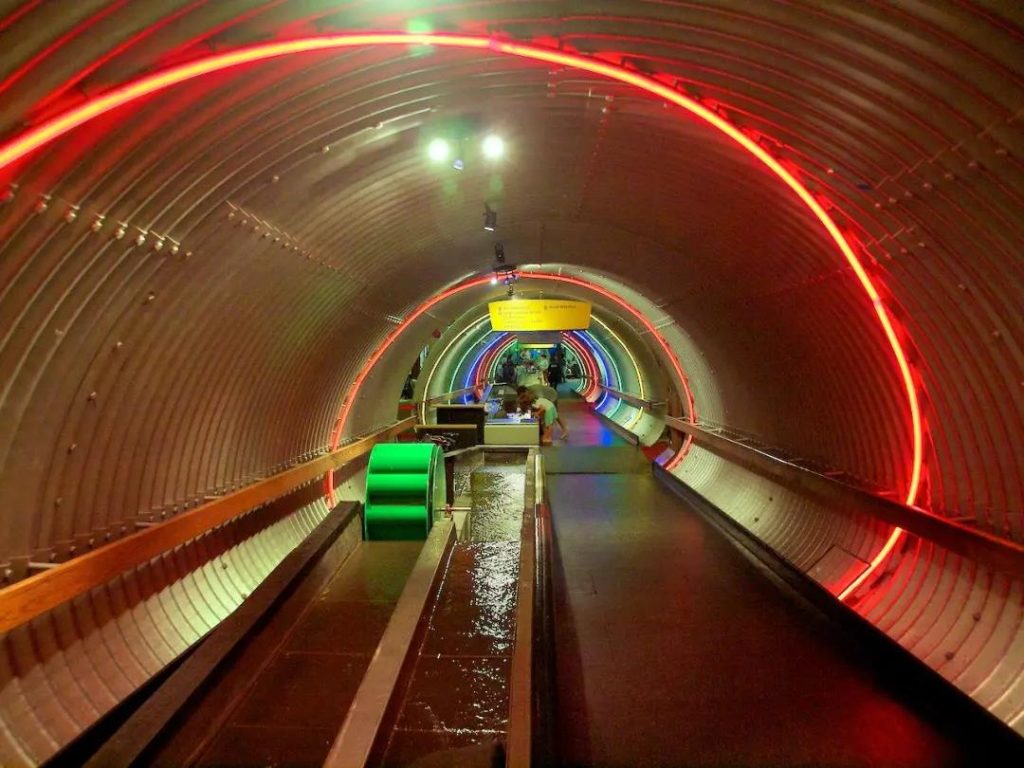 巖星特刊 | 以兒童的視角看博物館，解鎖新玩法插圖(5)